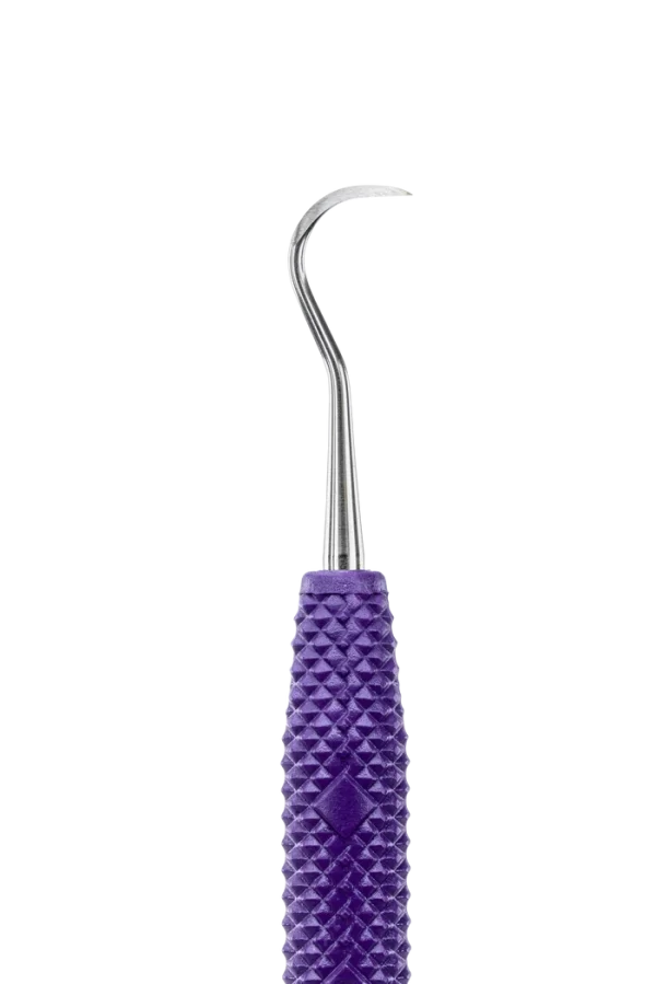 Jacquette Anterior H5-33