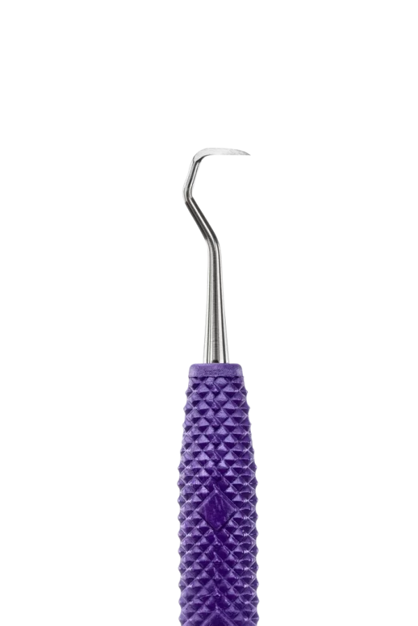 Jacquette Anterior H5-33 - Imagen 4