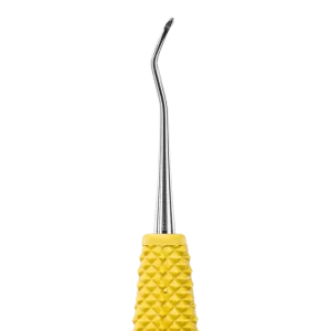 Jacquette Posterior J34-35