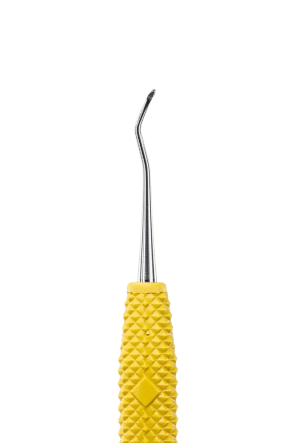 Jacquette Posterior J34-35