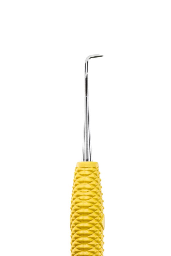 Jacquette Posterior J34-35 - Imagen 4