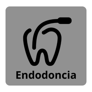 Endodoncia